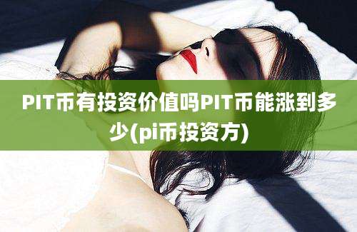 PIT币有投资价值吗PIT币能涨到多少(pi币投资方)