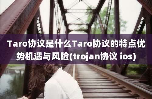 Taro协议是什么Taro协议的特点优势机遇与风险(trojan协议 ios)