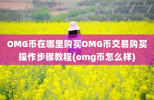 OMG币在哪里购买OMG币交易购买操作步骤教程(omg币怎么样)