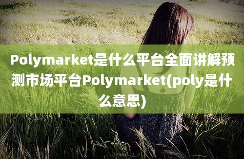 Polymarket是什么平台全面讲解预测市场平台Polymarket(poly是什么意思)