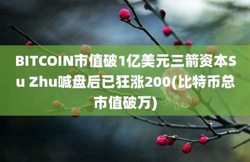 BITCOIN市值破1亿美元三箭资本Su Zhu喊盘后已狂涨200(比特币总市值破万)