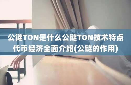 公链TON是什么公链TON技术特点代币经济全面介绍(公链的作用)