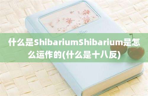 什么是ShibariumShibarium是怎么运作的(什么是十八反)