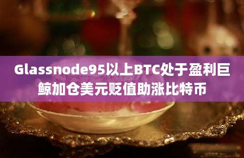 Glassnode95以上BTC处于盈利巨鲸加仓美元贬值助涨比特币