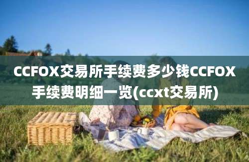 CCFOX交易所手续费多少钱CCFOX手续费明细一览(ccxt交易所)