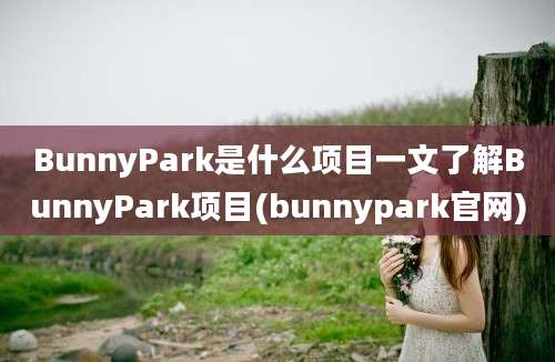 BunnyPark是什么项目一文了解BunnyPark项目(bunnypark官网)