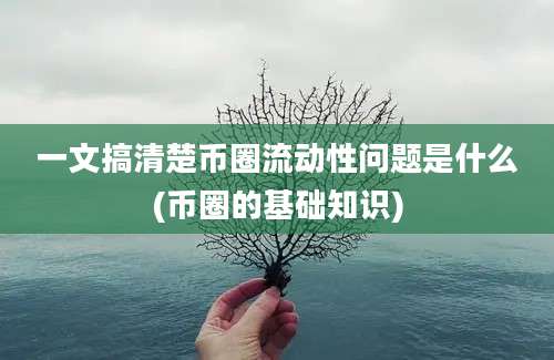 一文搞清楚币圈流动性问题是什么(币圈的基础知识)