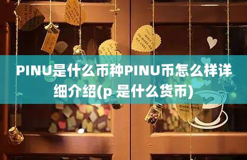 PINU是什么币种PINU币怎么样详细介绍(p 是什么货币)