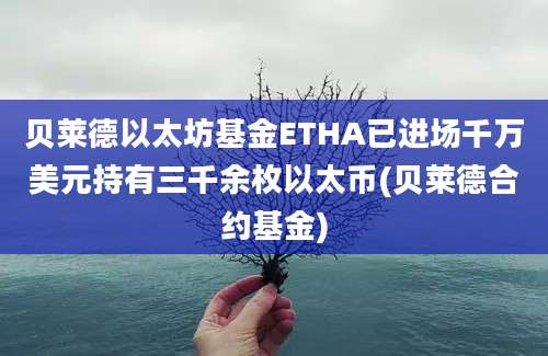 贝莱德以太坊基金ETHA已进场千万美元持有三千余枚以太币(贝莱德合约基金)