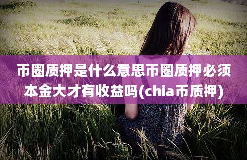 币圈质押是什么意思币圈质押必须本金大才有收益吗(chia币质押)