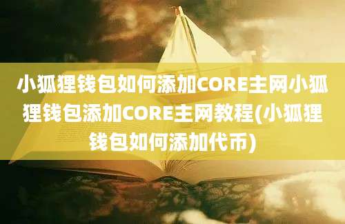 小狐狸钱包如何添加CORE主网小狐狸钱包添加CORE主网教程(小狐狸钱包如何添加代币)