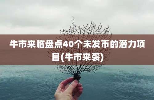 牛市来临盘点40个未发币的潜力项目(牛市来袭)