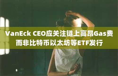 VanEck CEO应关注链上高昂Gas费而非比特币以太坊等ETF发行