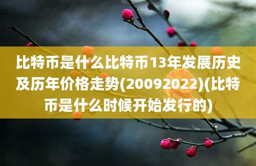 比特币是什么比特币13年发展历史及历年价格走势(20092022)(比特币是什么时候开始发行的)