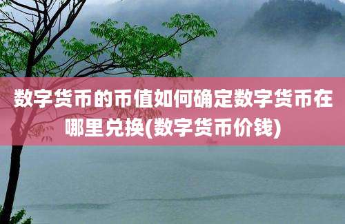 数字货币的币值如何确定数字货币在哪里兑换(数字货币价钱)