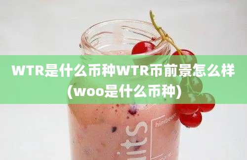 WTR是什么币种WTR币前景怎么样(woo是什么币种)