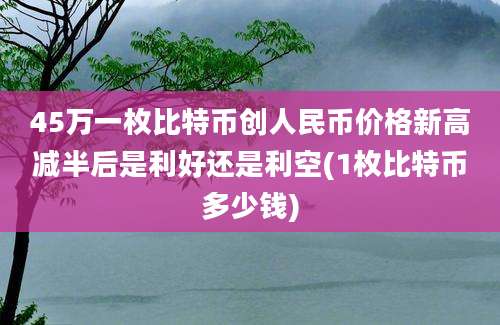 45万一枚比特币创人民币价格新高减半后是利好还是利空(1枚比特币多少钱)