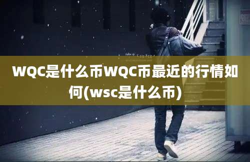 WQC是什么币WQC币最近的行情如何(wsc是什么币)