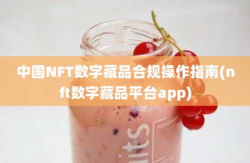 中国NFT数字藏品合规操作指南(nft数字藏品平台app)