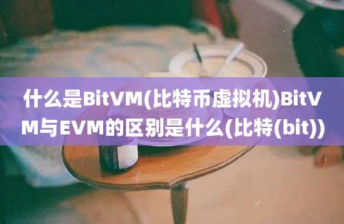 什么是BitVM(比特币虚拟机)BitVM与EVM的区别是什么(比特(bit))