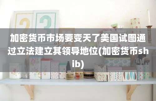 加密货币市场要变天了美国试图通过立法建立其领导地位(加密货币shib)