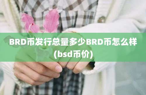 BRD币发行总量多少BRD币怎么样(bsd币价)