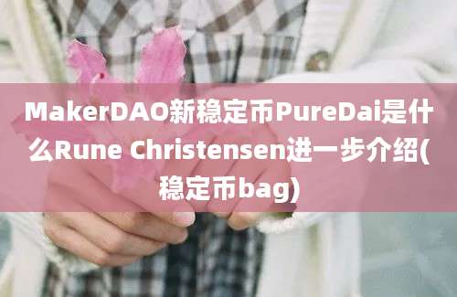 MakerDAO新稳定币PureDai是什么Rune Christensen进一步介绍(稳定币bag)