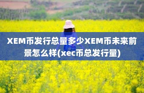 XEM币发行总量多少XEM币未来前景怎么样(xec币总发行量)