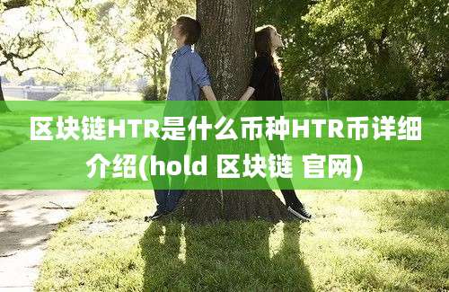 区块链HTR是什么币种HTR币详细介绍(hold 区块链 官网)