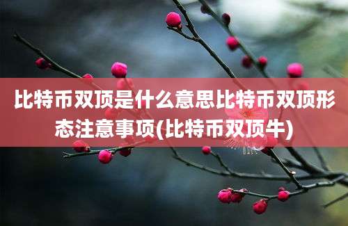 比特币双顶是什么意思比特币双顶形态注意事项(比特币双顶牛)