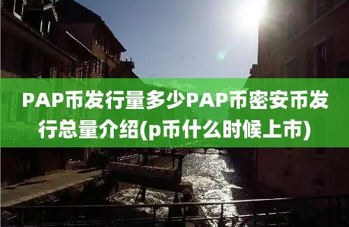 PAP币发行量多少PAP币密安币发行总量介绍(p币什么时候上市)