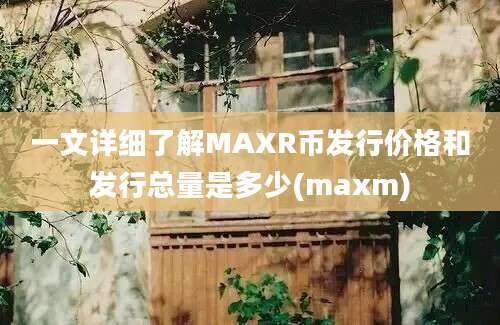 一文详细了解MAXR币发行价格和发行总量是多少(maxm)