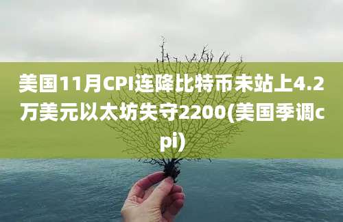 美国11月CPI连降比特币未站上4.2万美元以太坊失守2200(美国季调cpi)