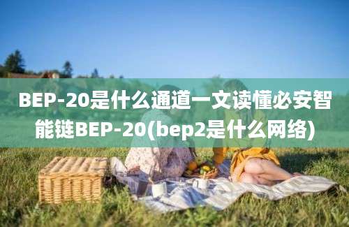 BEP-20是什么通道一文读懂必安智能链BEP-20(bep2是什么网络)