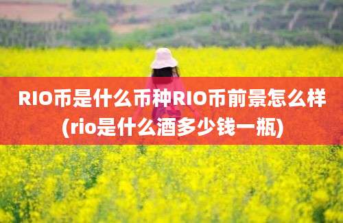 RIO币是什么币种RIO币前景怎么样(rio是什么酒多少钱一瓶)