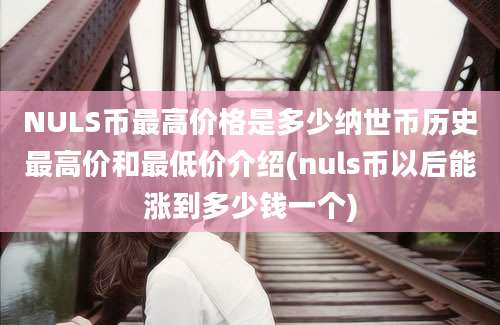 NULS币最高价格是多少纳世币历史最高价和最低价介绍(nuls币以后能涨到多少钱一个)