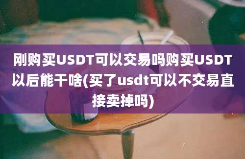 刚购买USDT可以交易吗购买USDT以后能干啥(买了usdt可以不交易直接卖掉吗)