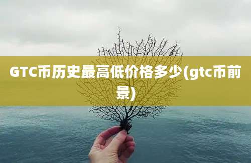 GTC币历史最高低价格多少(gtc币前景)