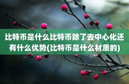 比特币是什么比特币除了去中心化还有什么优势(比特币是什么材质的)