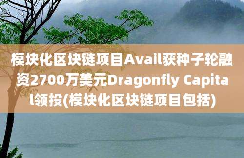 模块化区块链项目Avail获种子轮融资2700万美元Dragonfly Capital领投(模块化区块链项目包括)