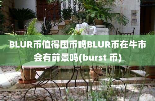 BLUR币值得囤币吗BLUR币在牛市会有前景吗(burst 币)