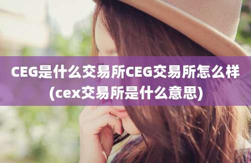 CEG是什么交易所CEG交易所怎么样(cex交易所是什么意思)