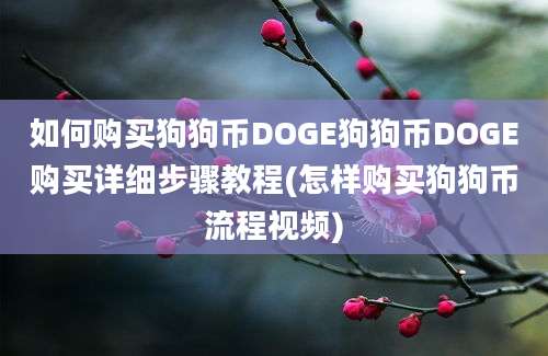 如何购买狗狗币DOGE狗狗币DOGE购买详细步骤教程(怎样购买狗狗币流程视频)