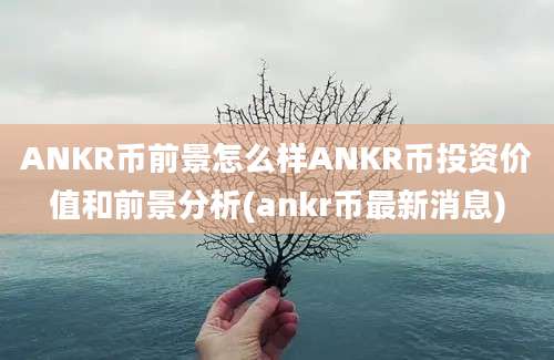 ANKR币前景怎么样ANKR币投资价值和前景分析(ankr币最新消息)