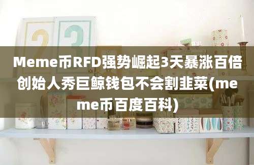 Meme币RFD强势崛起3天暴涨百倍创始人秀巨鲸钱包不会割韭菜(meme币百度百科)