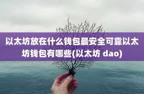 以太坊放在什么钱包最安全可靠以太坊钱包有哪些(以太坊 dao)