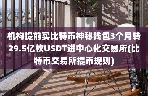 机构提前买比特币神秘钱包3个月转29.5亿枚USDT进中心化交易所(比特币交易所提币规则)