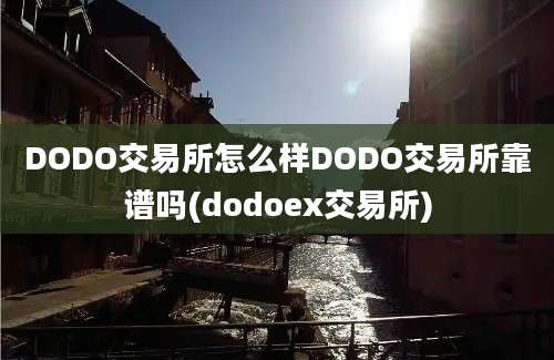 DODO交易所怎么样DODO交易所靠谱吗(dodoex交易所)