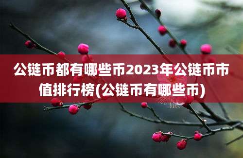 公链币都有哪些币2023年公链币市值排行榜(公链币有哪些币)