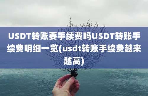 USDT转账要手续费吗USDT转账手续费明细一览(usdt转账手续费越来越高)